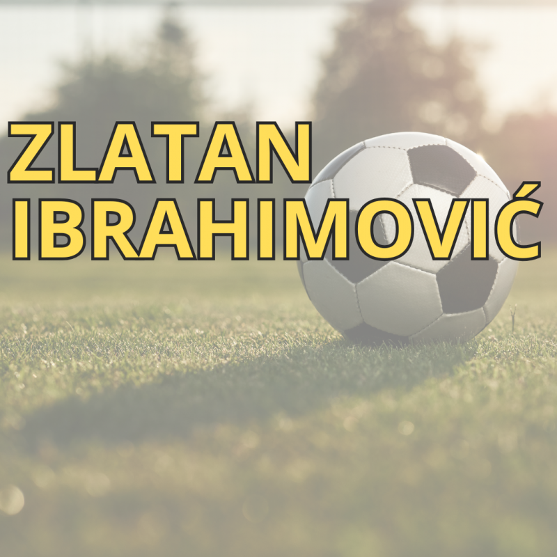 die-5-bestbezahlten-sportler-im-jahr-2024